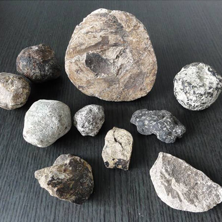 Ambre gris